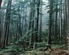 Wald Motten  Groe Anzahl aktueller Bauernhuser, Bauernhfe, Reiterhfe, alte Mhlen - hier finden auch Sie IHR Bauernhaus, Bauernhof, Reiterhof oder alte Mhle!